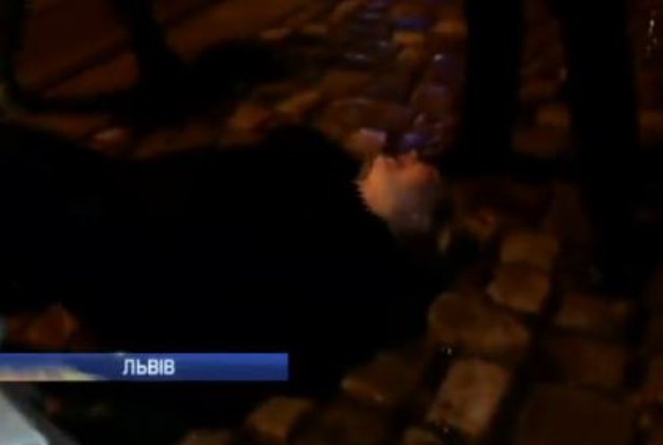 У Львові поліцейських побили п'яні жінки