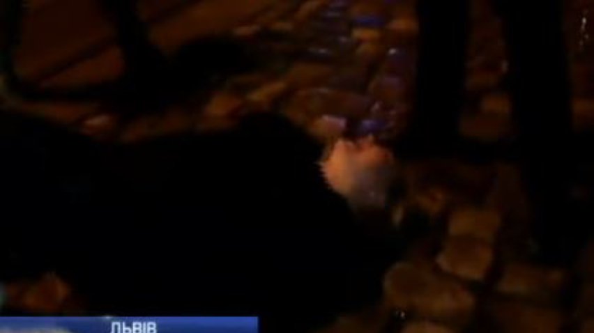 У Львові поліцейських побили п'яні жінки