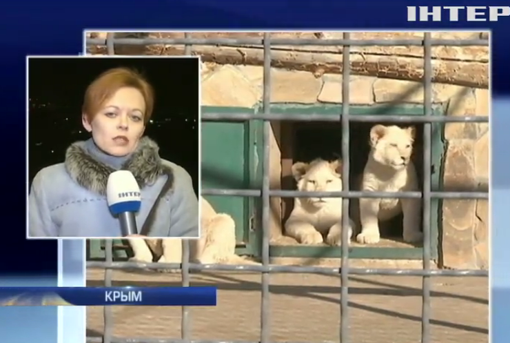 В зоопарках Крыма от холода умирают животные