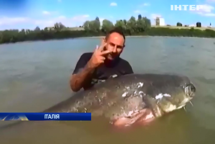 Рибалка в Італії витягнув сома вагою 120 кілограмів