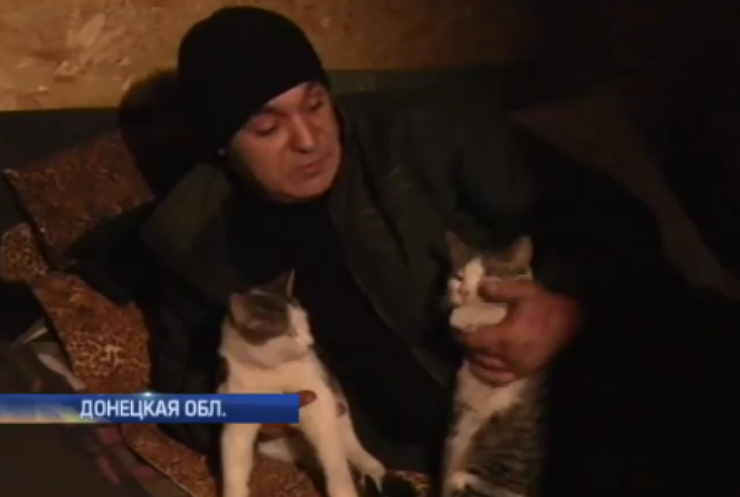 Под Донецком коты спасают бойцов от нашествия мышей