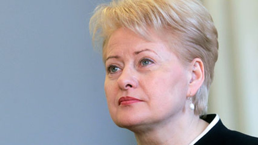 Даля Грібаускайте вважає рішення у Мінську неефективними