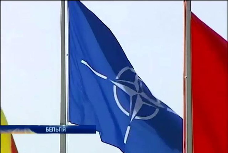 У НАТО закликали негайно припинити бойові дії на Донбасі
