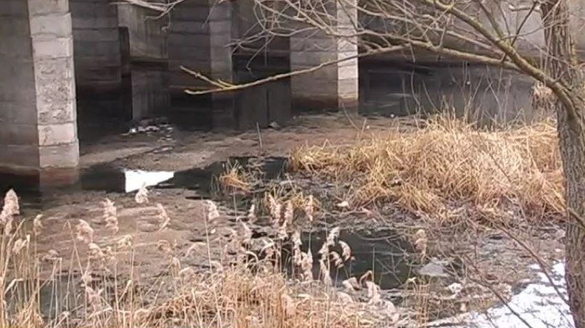 Південний Буг залишається без риби через відходи підприємств