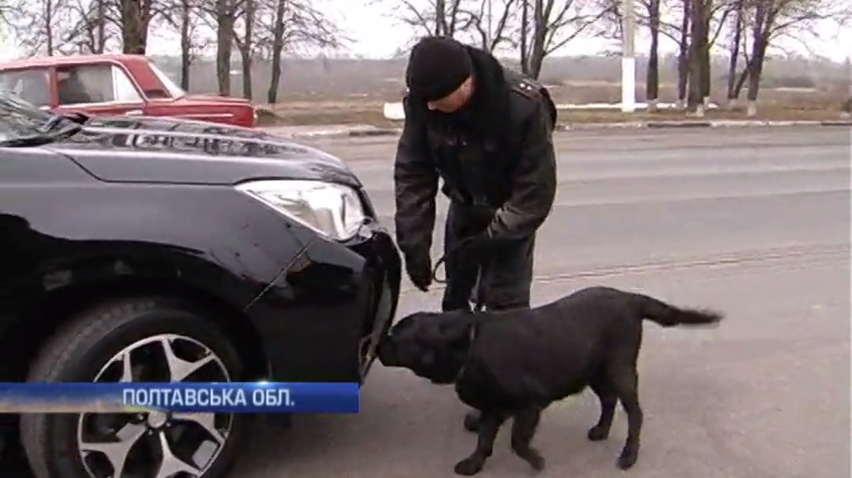 На дорогах Полтавщини собаки шукають зброю