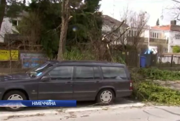 Ураган Ніклас у Німеччині виривав дерева із корінням