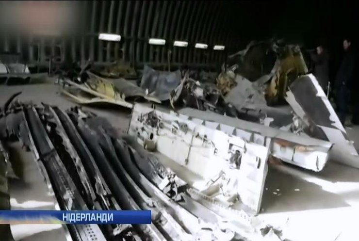 Родичам жертв авіакатастрофи під Донецьком показали уламки Боїнга