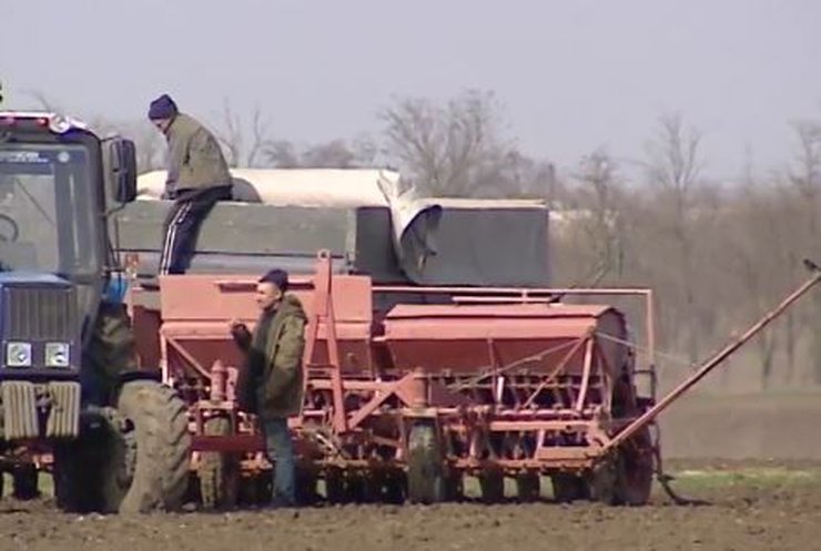 Фермеры Украины возмущены взятками в агробизнесе