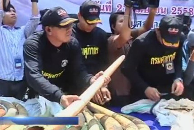 В Таїланді конфіскували 3 тонни слонової кістки