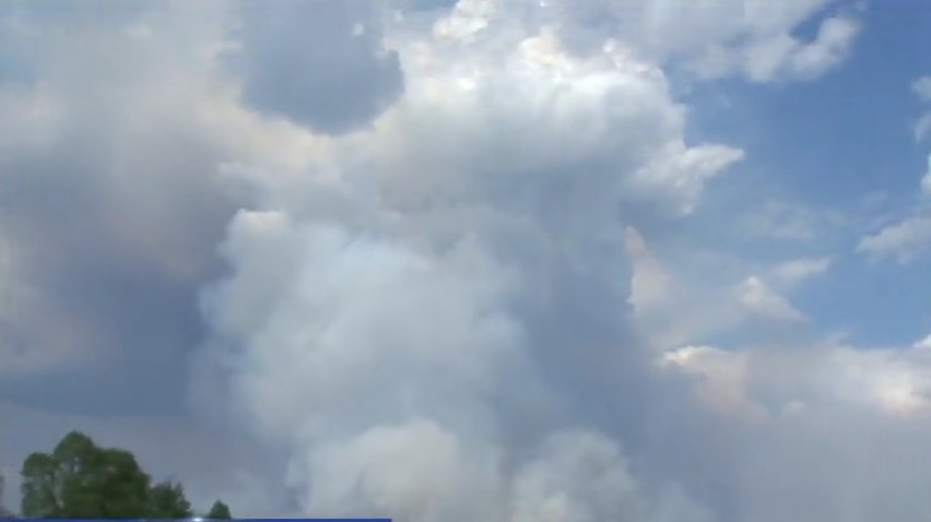 В Чорнобилі завершують гасити ліс у зоні відчуження (відео)
