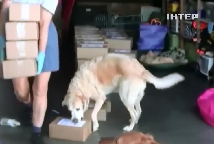 Поштарі Австрії відбиватимуться від собак ласощами