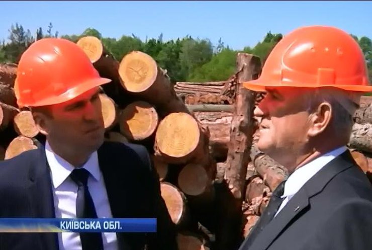 Кабмін збільшив замовлення на деревину для бліндажів Донбасу