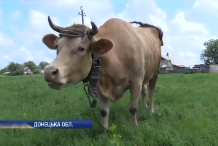 Жителі Водяного біля Донецька під обстрілами вирощують городину  