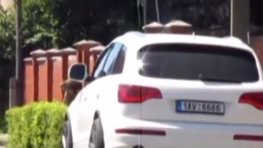 В перестрелке в Мукачево использовали угнанную Audi из Чехии (видео)