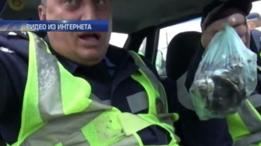 Гаишники Запорожья берут взятки рыбой и помидорами