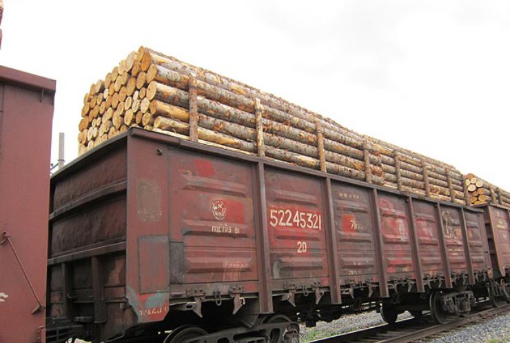 На Буковині чорні лісоруби вивозять ліс за кордон вагонами