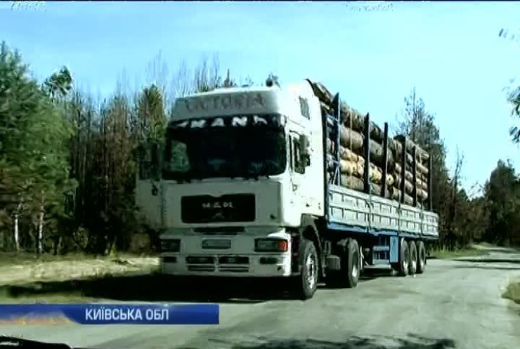 Чорнобиль могли підпалити через незаконну вирубку лісу