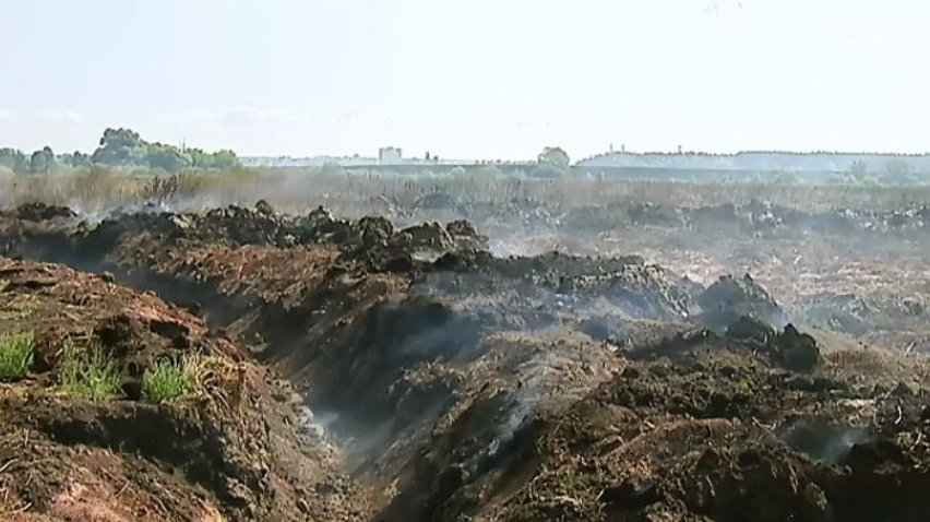 Дим у Києві: рятувальники не можуть загасити торфянники 