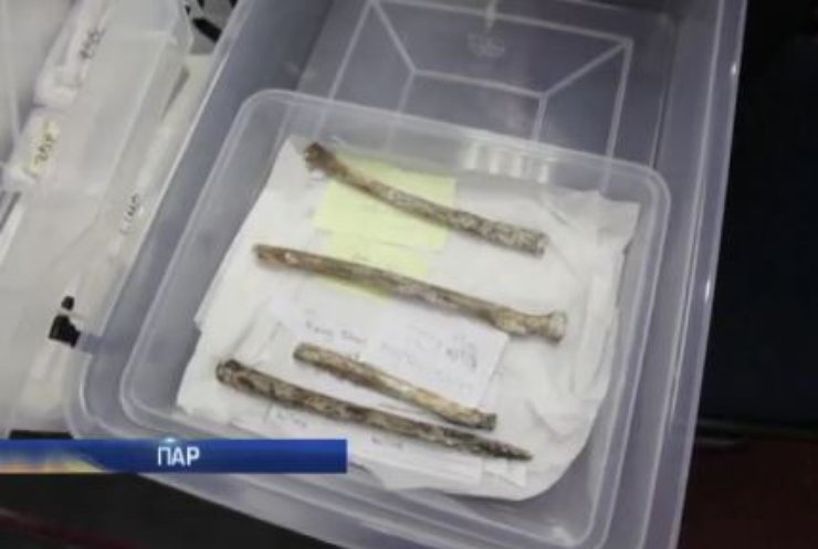 В Африці знайшли кістки нових предків людини