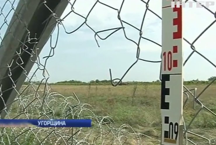 Біженці продірявили паркан між Сербією та Угорщиною (відео)