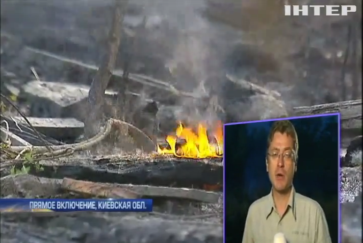 Под Киевом специально поджигают лес