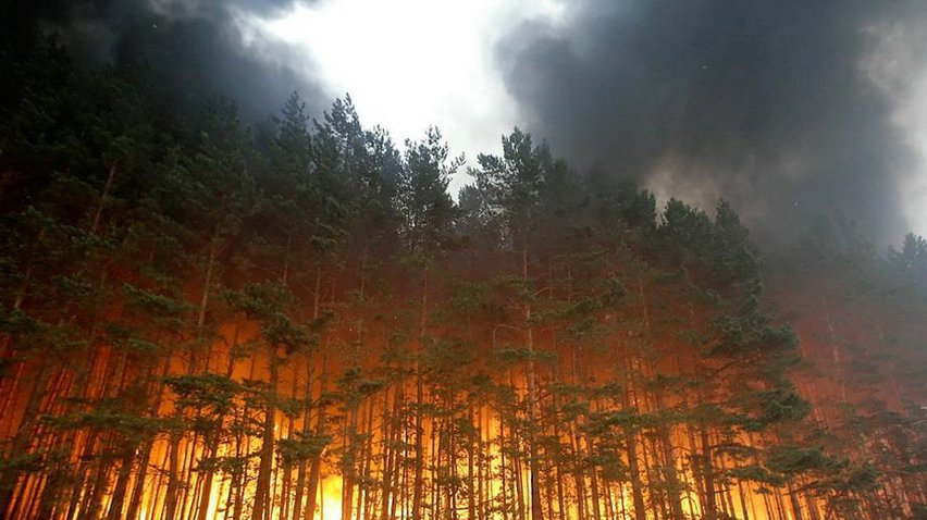 Пожежі в Сибіру: горять 119 тисяч гектарів лісу
