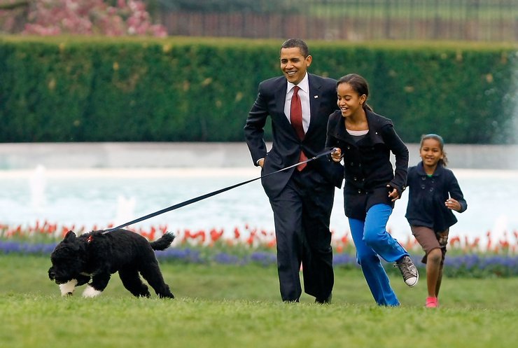 В Вашингтоне мужчина пытался украсть собаку Обамы