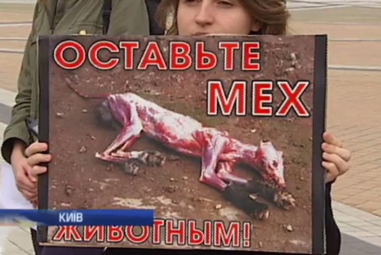 У Києві протестували проти вбивств тварин заради хутра