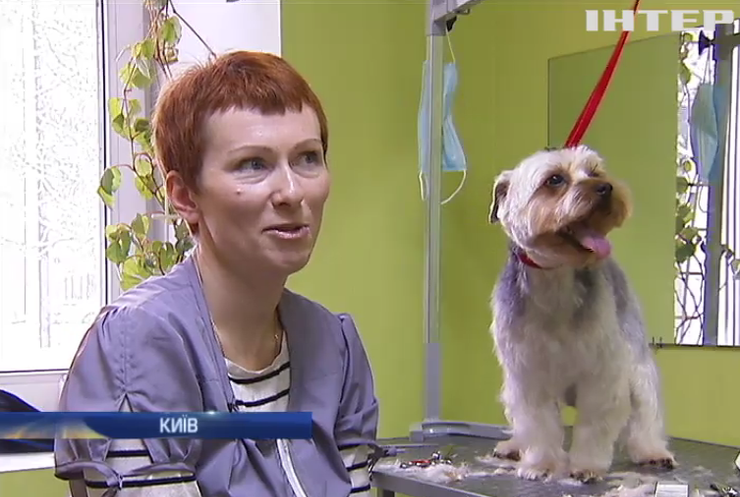 Переселенка з Криму відкрила в Києві салон для тварин