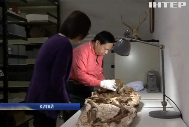 На Тайване нашли 5-тысячелетнюю мумию, оплакивающую ребенка