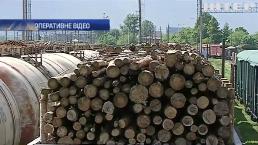 До Румунії намагались вивезти 200 вагонів контрабандного лісу