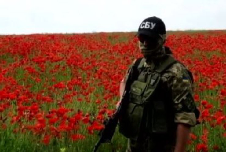 СБУ викрила на Харківщині макову плантацію