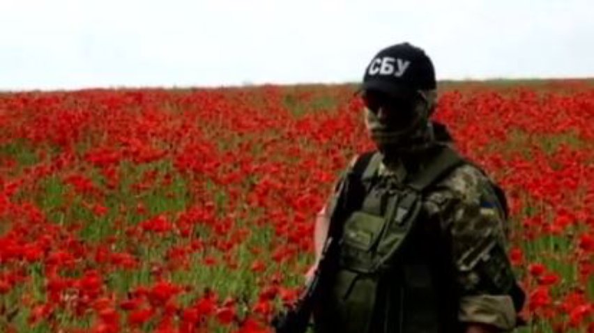 СБУ викрила на Харківщині макову плантацію