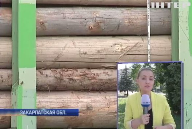 На Закарпатье лесхозам запретили вывоз древесины за границу