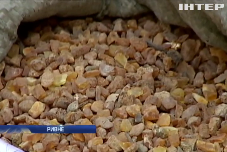 СБУ заявила о пропаже 700 кг янтаря в Ривненской области