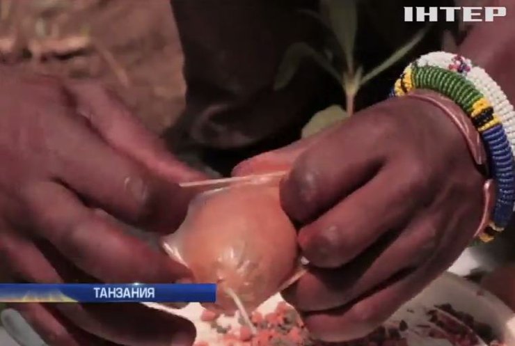 В Танзании фермеры с помощью презервативов защищаются от слонов