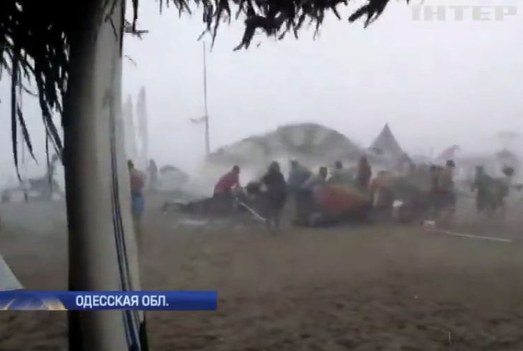 Ветер в Одессе повалил полсотни деревьев