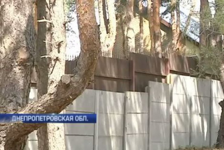 В селе под Днепром застройщики захватили участок леса