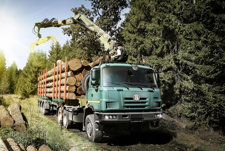 На Житомирщині упіймали вантажівку із цінною деревиною без документів