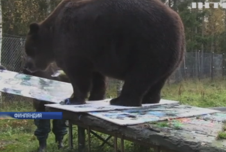 В Финляндии устроили выставку картин написанных медведем 