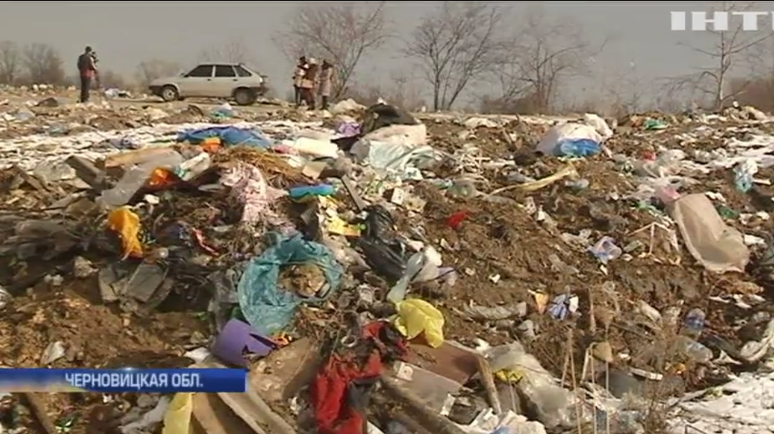 В село Черновицкой области тоннами свозят мусор 