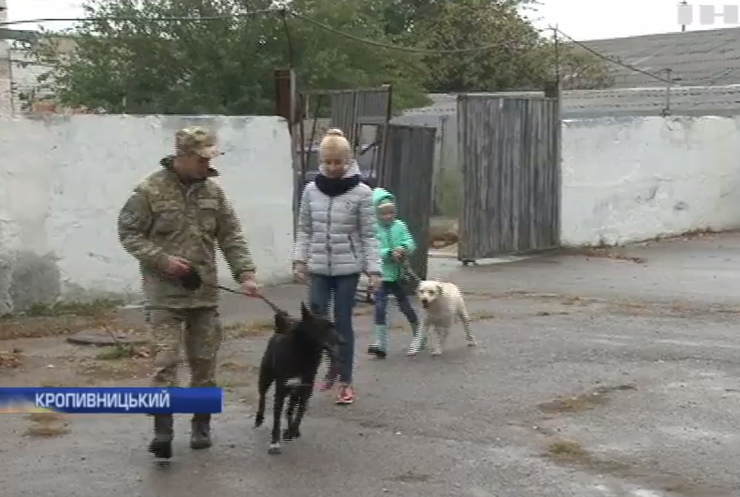 Поліцейські-кінологи у Кропивницькому навчають дітей ладнати з собаками