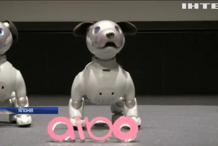 У Японії створили робота-пса із штучним інтелектом
