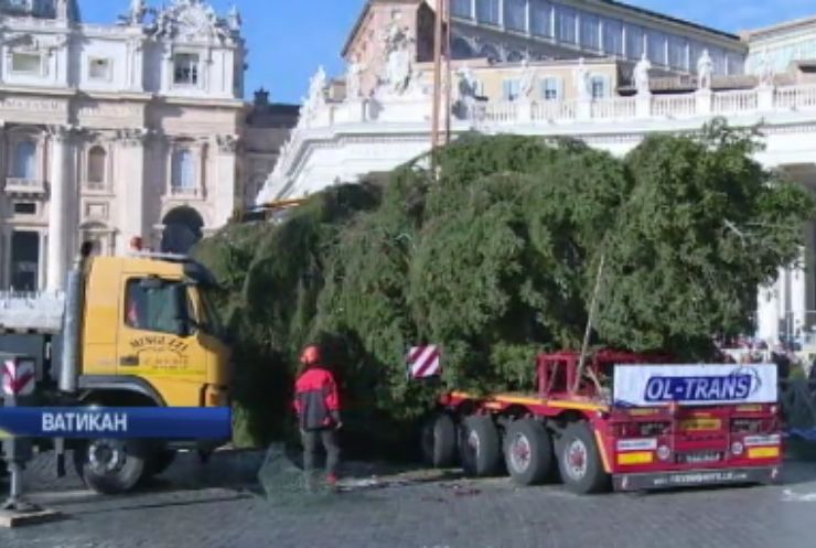 Ватикан прикрасять новорічною ялинкою із Польщі