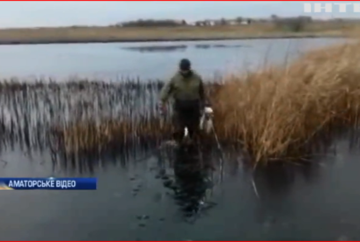 На Дніпропетровщині п'яні мисливці розстріляли білих лебедів