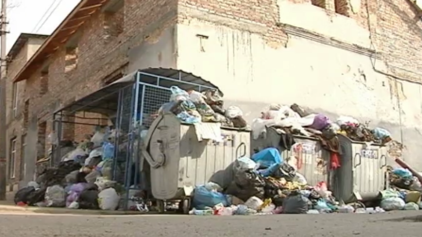 Во Львове активисты пытаются спасти город от мусора (видео)