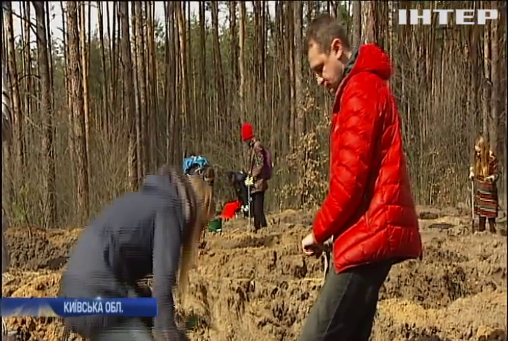 Під Києвом волонтери висадили 2 гектари лісу