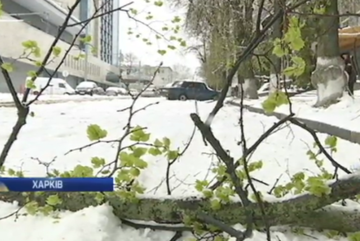Негода в Україні: у Харкові знеструмило 40 багатоповерхівок