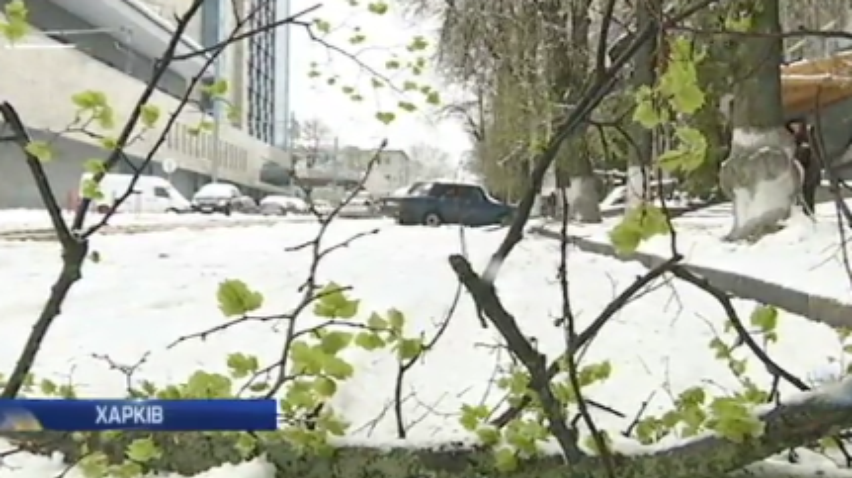 Негода в Україні: у Харкові знеструмило 40 багатоповерхівок