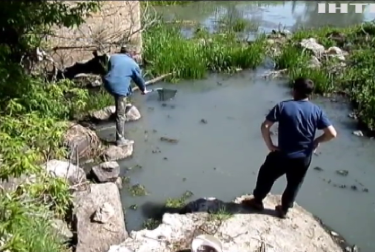 На Житомирщині місцевий комбінат отруїв водойму